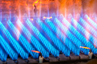 Burlton gas fired boilers